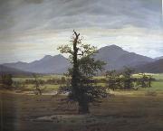 Caspar David Friedrich Landscape with Solitary Tree (mk10) France oil painting artist